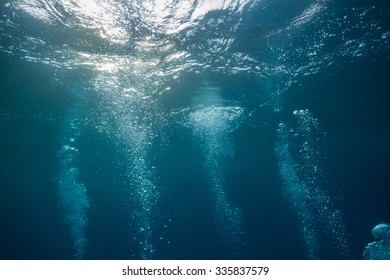 水中 空気 の写真素材 画像 写真 Shutterstock