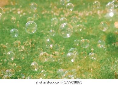 Bubbles blowing in the grass