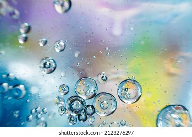 bubbles circles on colored background