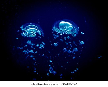 Bubbles In The Deep Sea