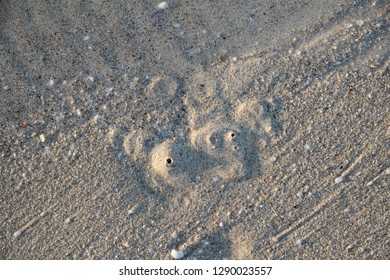 Bubbles emerging from under the sand.