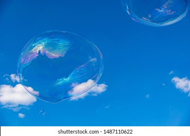 Bubbles floating in the sky on a summers day