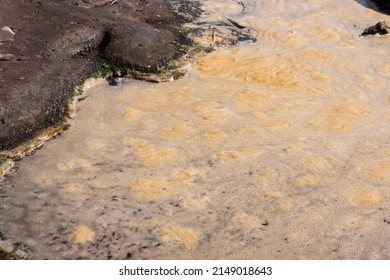 The bubbles formed by the violent flow of the current clump together in a yellow raft.