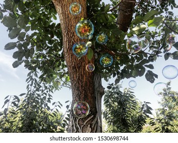 Bubbles in front of a huge tree