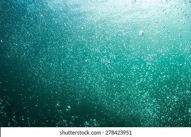 Bubbles of gas rise from scuba divers who explore the seafloor of the northern Atlantic Ocean.