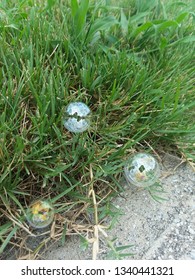 Bubbles In The Grass