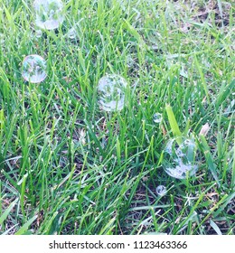 Bubbles on grass