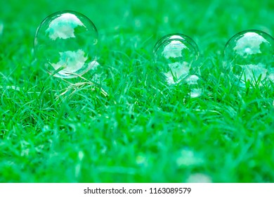 Bubbles On Grass.
