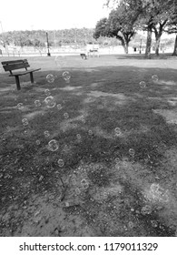 bubbles at the park