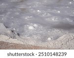 Bubbling mud in a mudpot in Yellowstone