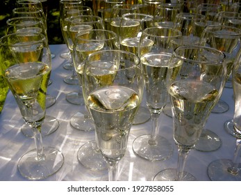                 bubbly champagne in flutes on table               