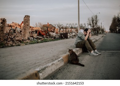 Bucha, Kyiv region, Ukraine - May 1, 2022: Russia's war in Ukraine. Abandoned pets. Hungry scared cat in the frame
