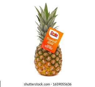 Pineapple share price