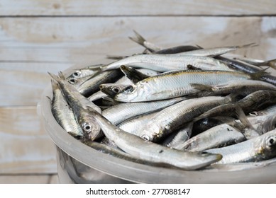 17,987 Fish In Bucket Images, Stock Photos & Vectors | Shutterstock