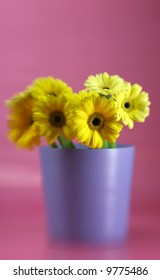 A Bucket Full Of Yellow Gerbera Daises