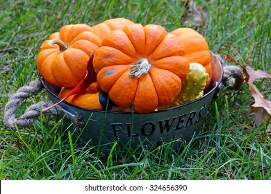 A bucket of squashes.