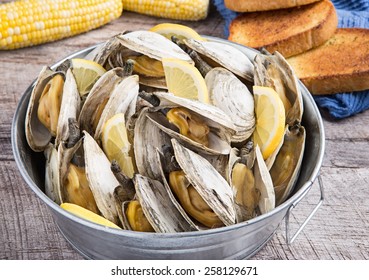 Bucket of steamed clams