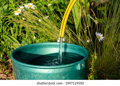 A Bucket Of Water Flowing From A Rubber Tube Into A Bucket In A Summer Garden, Watering A Flowerbed, Flowers Of A Country House, Chores At The Dacha.