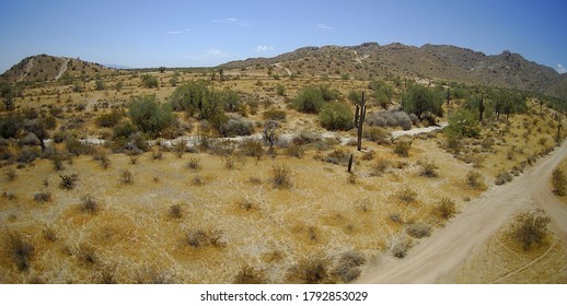 Buckeye Az In The Dog Days Of Summer