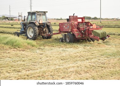 Buckeye, AZ. U.S.A. 9/8/2020. Ford 7710 Tractor Pulling A Hesston Alfalfa Baler.
