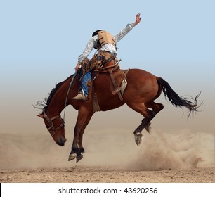 Bucking Rodeo Horse Isolated With Clipping Path