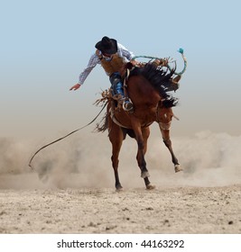 Bucking Rodeo Horse isolated with clipping path