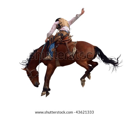 Bucking Rodeo Horse isolated with clipping path