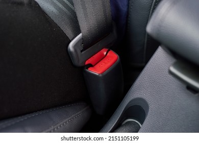 Buckle Up. Closeup Shot Of A Seatbelt Inside A Motor Vehicle.