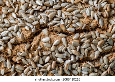 Buckwheat bread, homemade sourdough bread loaf, homemade bakery and recipes for homemade healthy bread, family bakery or pastry shop, healthy and wholesome food, vegan bread or pastry, production of