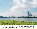 Buckwheat flower field and city view at Banpo Han river park Seorae island in Seoul, Korea