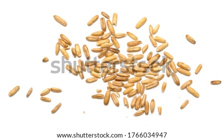 Buckwheat millet isolated on a background.