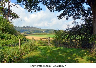 Bucolic England - Cranleigh Farm  Near Guilford In Surrey On A Warm Sunny Summer Day.