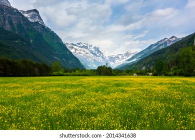 Bucolic flowered meadow between snowy mountains - Shutterstock ID 2014341638