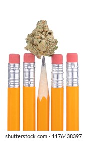 Bud Of Marijuana Balanced On The Point Of A School Pencil, In A Display Of Drugs And School, Isolated On White