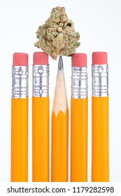 Bud Of Marijuana Balanced On The Point Of A School Pencil, In A Display Of Drugs And Education