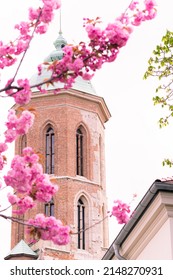 BUDAPEST, HUNGARY - 16 APRIL, 2022: Spring Cityscape With Blooming Cherry Trees On Tóth Árpád Promenade, Buda Castle District