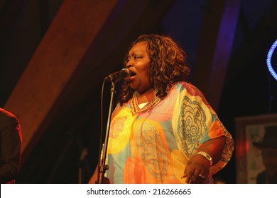 BUDAPEST, HUNGARY - AUGUST 17, 2014: American gospel, soul and blues singer Sharrie Williams performs on Sziget festival