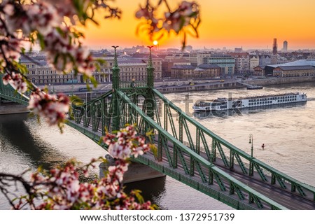 Budapest, Hungary - Beautiful spring sunrise at Liberty Bridge with cruise ship on River Danube and Cherry Blossom at foreground