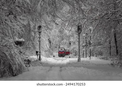 Budapest, Hungary - Beautiful winter forest scene with snowy forest and old colorful childrens train on the track in the Buda Hills near Csilleberc