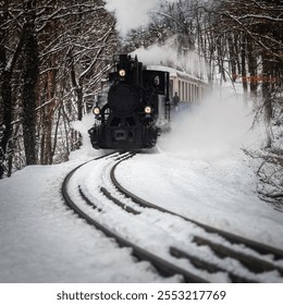 Budapest, Hungary - Beautiful winter forest scene with snowy forest and nostalgic steam tank engine train on the track in the Buda Hills near Huvosvolgy - Powered by Shutterstock