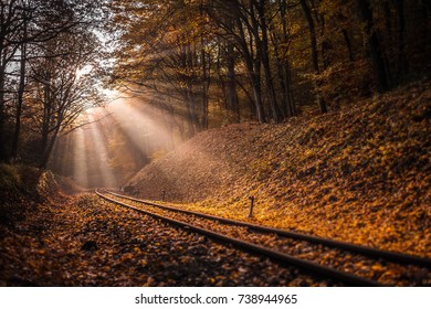 Budapest, Hungary - Rising sun falls on the railroad track leading through the autumn forest at Huvosvolgy - Powered by Shutterstock
