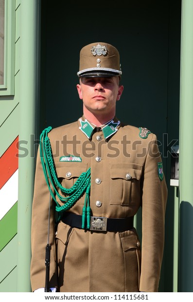 BUDAPEST-MARCH 26:\
Hungarian guard stood at check-post in front of palace gate at 26\
March 2012 in Budapest, Hungary. This Palace has been UNESCO World\
Heritage site since\
2002.