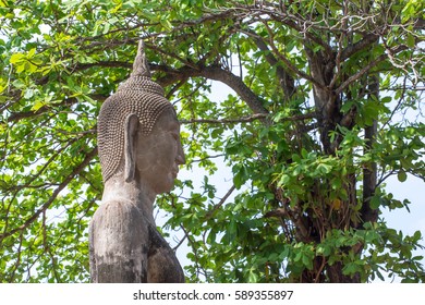 Buddha