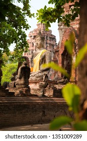 Buddha between trees