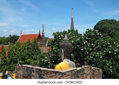 Buddha beyond the wall 