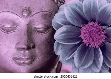 Buddha face and flower. Spiritual meditation and Zen buddhism nature image. Close up of a serene buddha head statue with a blue and pink tone lotus type flower in bloom. Calming peaceful modern design