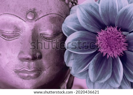 Buddha face and flower. Spiritual meditation and Zen buddhism nature image. Close up of a serene buddha head statue with a blue and pink tone lotus type flower in bloom. Calming peaceful modern design