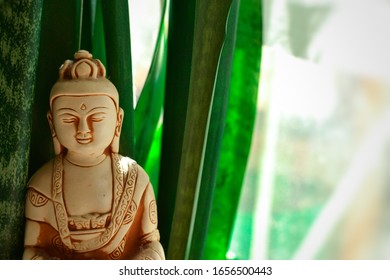 siddhartha buddha