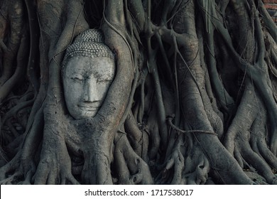 Buddha head in tree roots in Ayuthaya , Thailand - Powered by Shutterstock