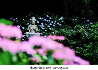 Buddha Image Standing Alone Behind Hydrangeas